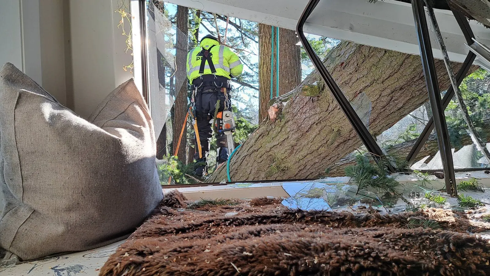 Emergency Tree Services performed by ISA-certified Peak Tree Specialists arborists