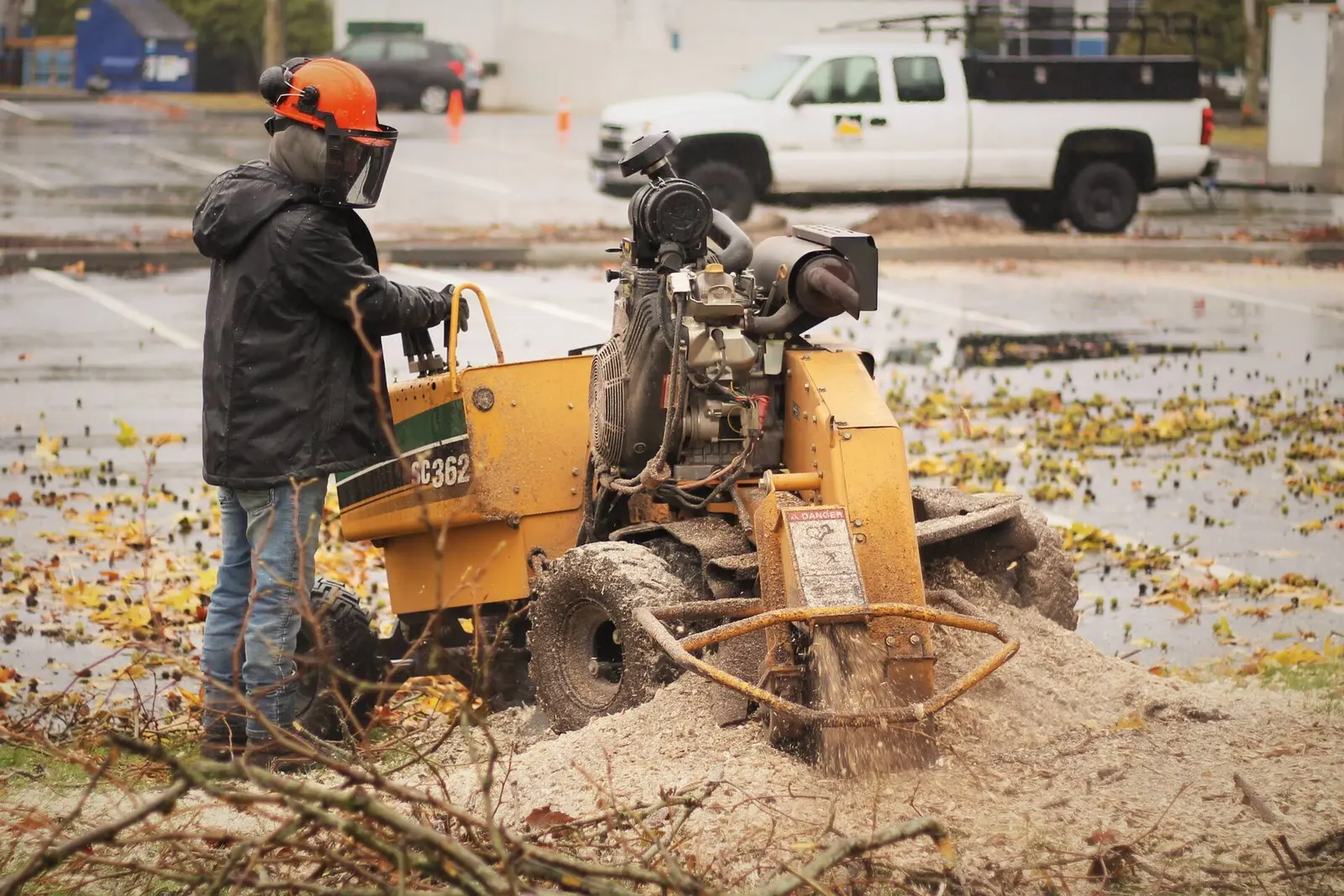 Stump Grinding performed by ISA-certified Peak Tree Specialists arborists